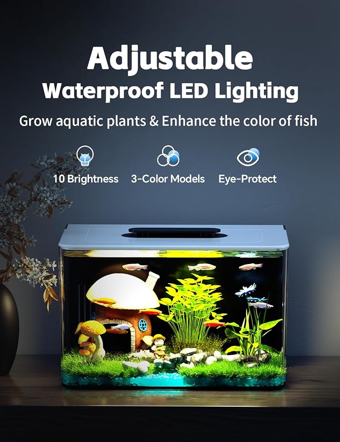 Betta Fish Tank, 2.5 Gallon Aquarium Kit with Filter, Light, Self Cleaning, Oxygenation, Small All in One Starter Fish Tank for Goldfish, Guppy, Shrimp, Desktop, Acrylic REDTAILFISH