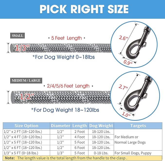 BAAPET 2/4/5/6 FT Dog Leash with Comfortable Padded Handle and Highly Reflective Threads for Small Medium and Large Dogs (5FT-1/3'', Grey) - PAWPICO