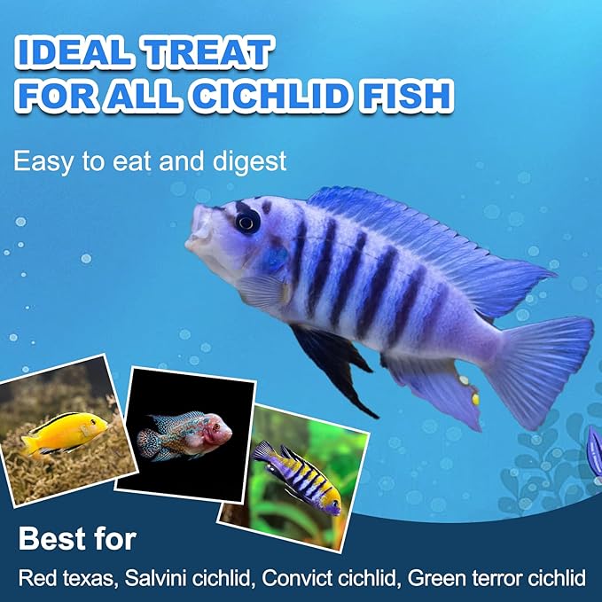Cichlid Fish Food - All Natural Sinking Carnivore Pellets for Large Cichlid Tropical Fish Rich in Protein for Cichlid'S Color Enhancing Healthy Development and Cleaner Water yizeril