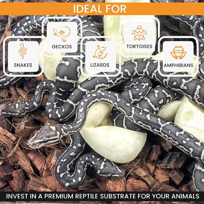 ReptiChip Reptile Bedding Loose Coconut Chip 12 Quart Coco Husk Substrate Mulch for Snake Habitat, Ball Python Terrarium, Turtle Tanks, Tortoise Enclosure ReptiChipPremiumSubstrate