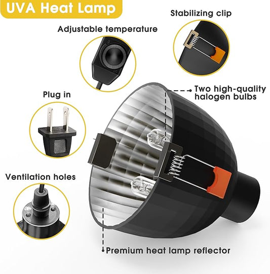 Briignite Reptile Heat Lamp Fixture, Max 100W - 4.3 inch Light Fixture with Dimmable Temperature Switches, G9 Heat Bulb & Dome UVB Light Perfect for Reptile Terrariums and Tortoise Habitats WelcometoBriigniteenjoyyourshopping
