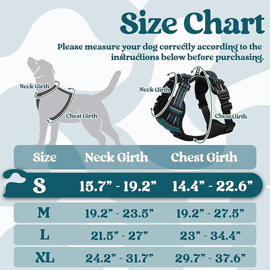 rabbitgoo Dog Harness Small Sized, No Pull Pet Harness with 3 Buckles, Adjustable Soft Padded Pooch Vest with Instant Control Handle, Easy Walking Reflective Pet Vest for Small Dogs, Blue Coral, S rabbitgoo