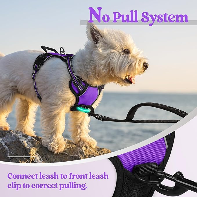 rabbitgoo Dog Harness No Pull with 2 Leash Clips, Adjustable Soft Padded, Reflective Oxford No Choke Pet Vest with Easy Control Handle for Puppy, Purple,XS rabbitgoo