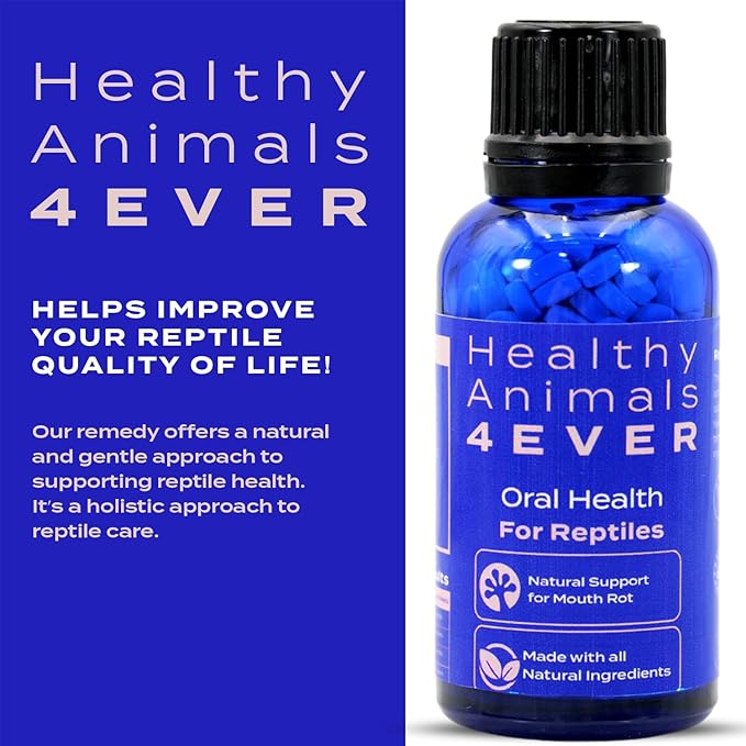 HealthyAnimals4Ever Reptile Oral Health - Natural Support for Mouth Rot, Enhanced Oral Hygiene & Long-Lasting Comfort - Gentle Homeopathic Formula - 300 Count HealthyAnimals4ever