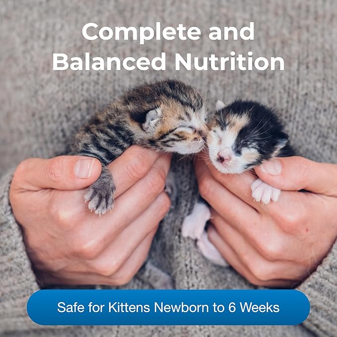 Pet-Ag PetLac Powder for Kittens - 10.5 oz, Pack of 4 - Kitten Milk Replacement Powder for Kittens Newborn to Six Weeks Old - Easy to Digest PetAg