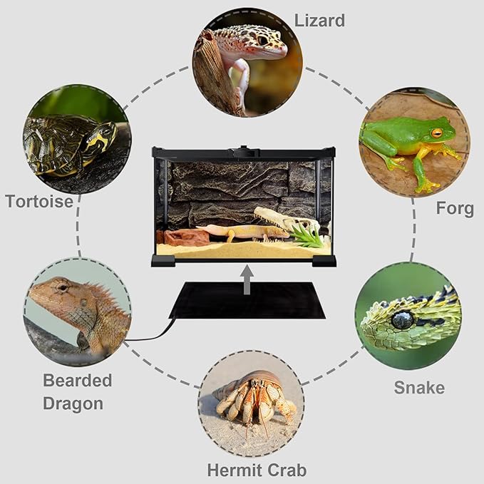 Aiicioo Reptile Heating Pad 24W - Reptile Heat Mat Pad for Bearded Dragon Leopard Gecko Hermit Crab Heater for 40 Gallon Reptile Tank AIICIOO