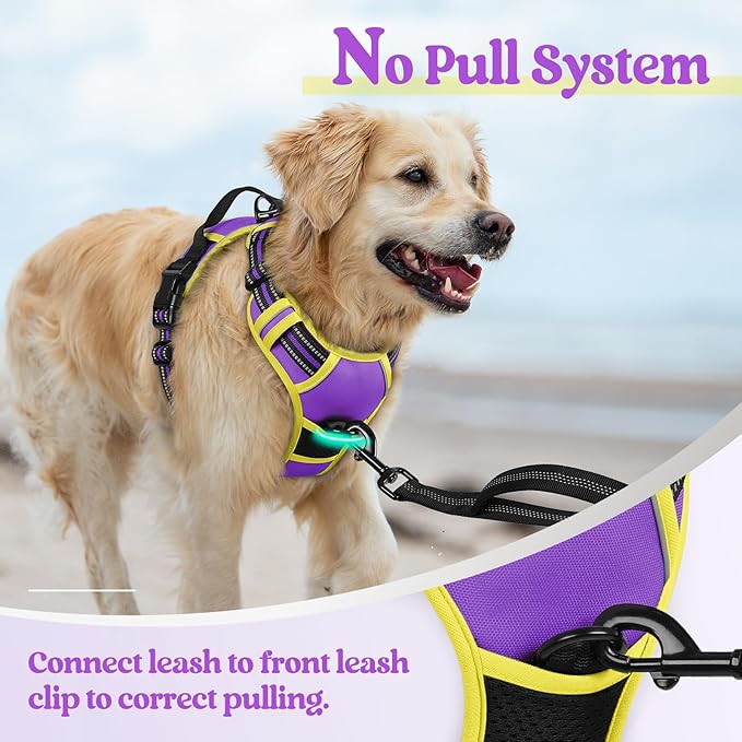 rabbitgoo Dog Harness No Pull with 2 Leash Clips, Adjustable Soft Padded, Reflective Oxford No Choke Pet Vest with Easy Control Handle for Large Dogs, Purple & Yellow, L rabbitgoo