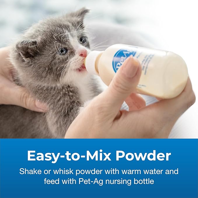 Pet-Ag PetLac Powder for Kittens - 10.5 oz, Pack of 4 - Kitten Milk Replacement Powder for Kittens Newborn to Six Weeks Old - Easy to Digest PetAg