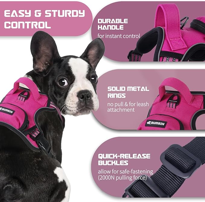 BUMBIN Dog Harness for Large Dogs, No Pull Adjustable No Choke Pet Vest with Dog Leash Fit Smart Reflective Pet Walking Harness for Training Easy Control Soft Handle Rose Red S BUMBIN