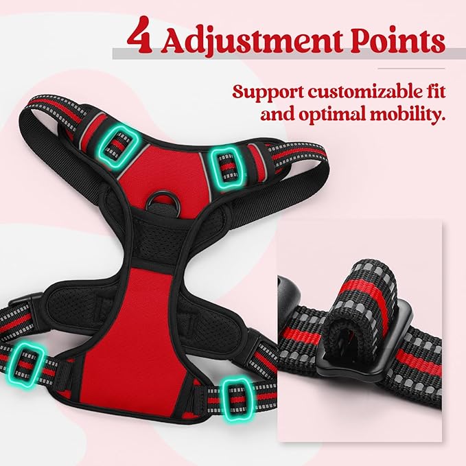 rabbitgoo Dog Harness No Pull with 2 Leash Clips, Adjustable Soft Padded, Reflective Oxford No Choke Pet Vest with Easy Control Handle for Medium Sized Dogs, Red, M rabbitgoo