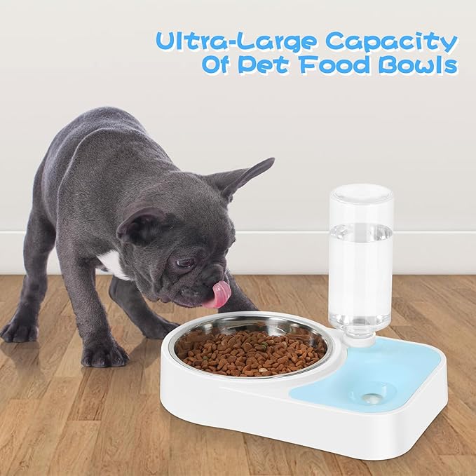JUST RUN Double Dog Cat Bowls, Dog Cat Food and Water Bowl Set with Automatic Water Dispenser Bottle, Super Big Detachable Stainless Steel Food Bowl for Small Dogs Puppy and Cats Kitten Rabbit(Blue) - PAWPICO