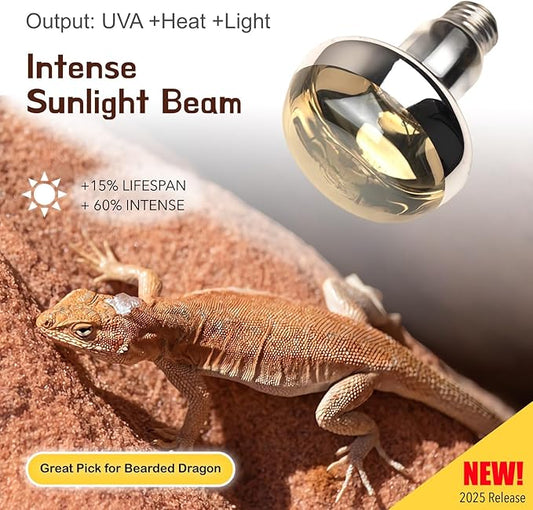 Reptile Heat Lamp, 2-Pack 100W Intense Basking Spot, 2024 G3,Reptile Basking Bulb Light, UVA Heat Lamp Bulbs for Bearded Dragon Turtle Chicken ReptiKing
