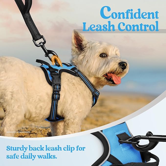 rabbitgoo Dog Harness No Pull with 2 Leash Clips, Adjustable Soft Padded, Reflective Oxford No Choke Pet Vest with Easy Control Handle for Puppy, Blue, XS rabbitgoo
