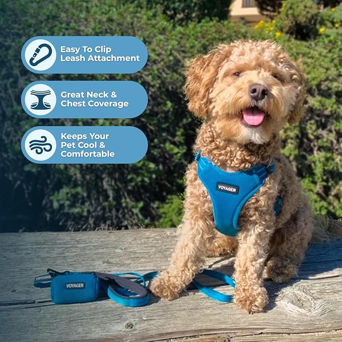 Best Pet Supplies Voyager Adjustable Dog Harness Leash Set with Reflective Stripes for Walking Heavy-Duty Full Body No Pull Vest with Leash D-Ring, Breathable All-Weather - Harness (Turquoise), S BestPetSuppliesLLC