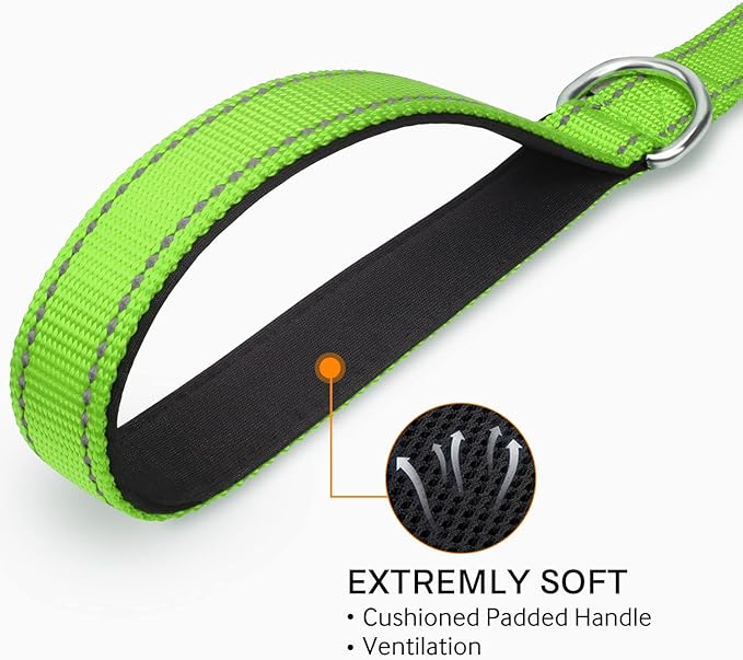 Joytale Double-Sided Reflective Dog Leash, 6 FT/5 FT/4 FT, Padded Handle Nylon Heavy Duty Leashes for Medium & Large Dogs Walking, Green, 6FT Joytale