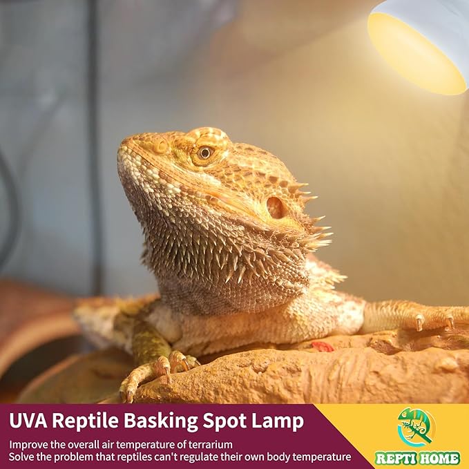 150W Reptile Heat Lamp Bulb,Basking Spot Lamp Bulb for Reptiles & Amphibians,Reptile Daylight Heat Bulb for Bearded Dragon, Lizard, Turtle REPTIHOME