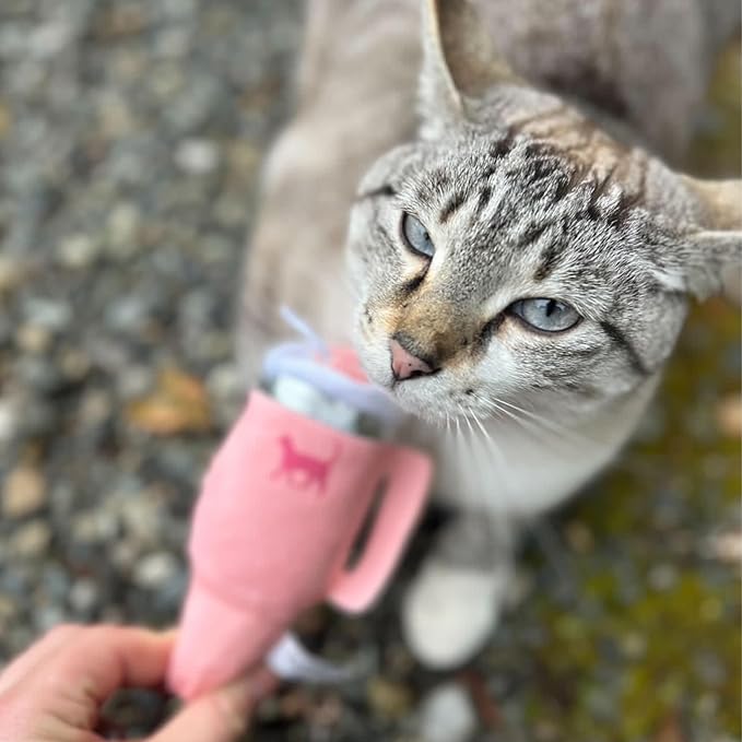 Kitty Cup Tumbler Cat Toy – Cute Cat Toy with Catnip, Crinkle Cat Toys for Cat Birthdays or Christmas, Funny Cat Toys for Kittens (Chambray Blue) - PAWPICO