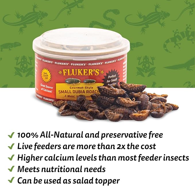 Fluker's Gourmet Canned Food for Reptiles, Fish, Birds and Small Animals, Small Dubia Roaches, 1.2 oz Flukers
