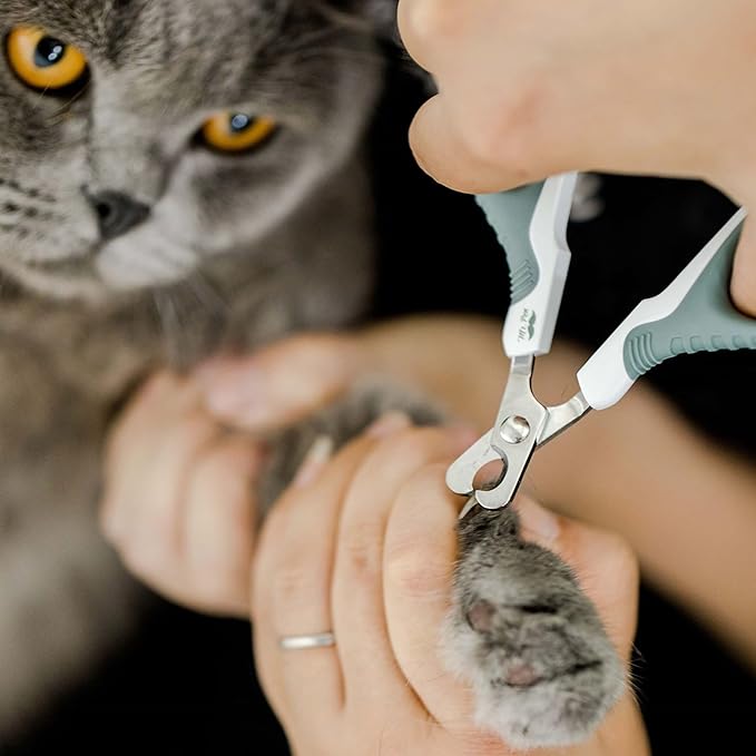 Mr. Pen- Cat Nail Clipper, Cat Nail Trimmers, Cat Claw Clippers, Cat Claw Trimmers, Kitten Nail Clipper, Cat Clippers for Nails, Nail Clippers for Cats, Pet Nail Clippers for Cats, Cat Nail Cutter - PAWPICO