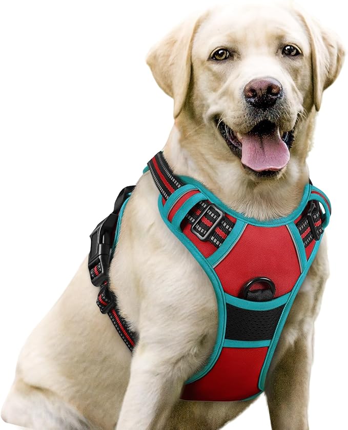 rabbitgoo Dog Harness, No-Pull Pet Harness with 2 Leash Clips, Adjustable Soft Padded Dog Vest, Reflective No-Choke Pet Oxford Vest with Easy Control Handle for Large Dogs, Red & Teal, L - PAWPICO