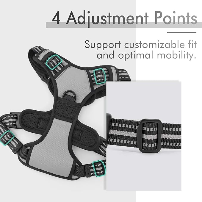 rabbitgoo Dog Harness, No-Pull Pet Harness with 2 Leash Clips, Adjustable Soft Padded Dog Vest, Reflective No-Choke Pet Oxford Vest with Easy Control Handle for Large Dogs, Grey, XL - PAWPICO
