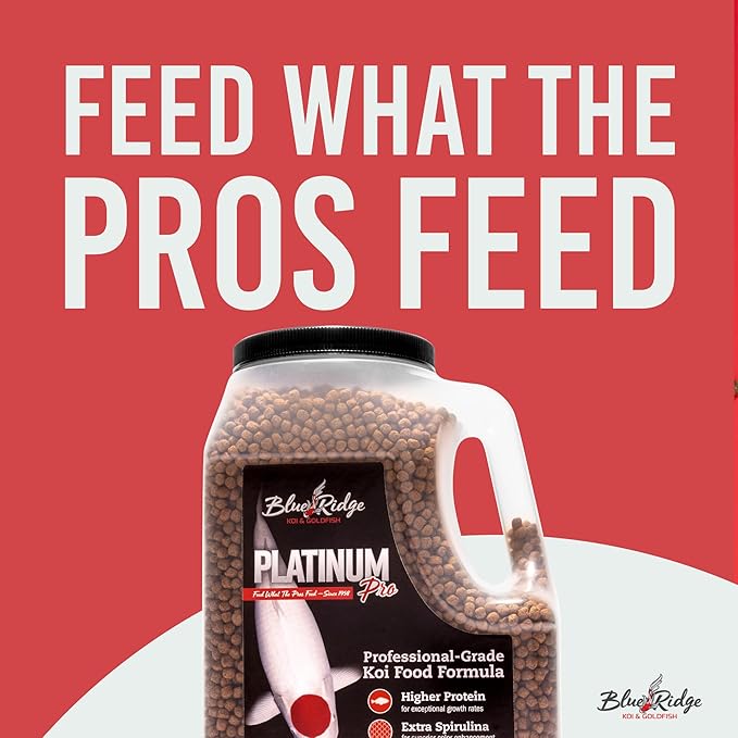 Blue Ridge Koi Fish Food 4.5lb - Koi Food 3/16” Platinum Pro Formula Goldfish Food, Premium Fish Food for Ponds, Floating Pond Pellets Fish Food BlueRidgeFishHatchery