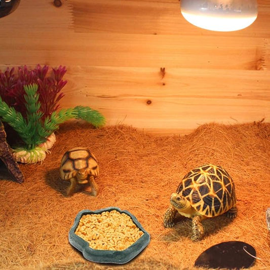 SLSON Reptile Feeder Terraium Bowl Plastic Shallow Reptile Feeder for Food and Water Feeding Dish for Lizard Gecko Bearded Dragon SLSON