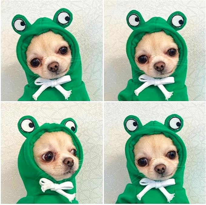 Warm Dog Winter Clothes Cute Fruit Dog Coat Hoodies Fleece Pet Dogs Costume Jacket for French Bulldog Chihuahua Ropa para Perro(Green,XL) - PAWPICO