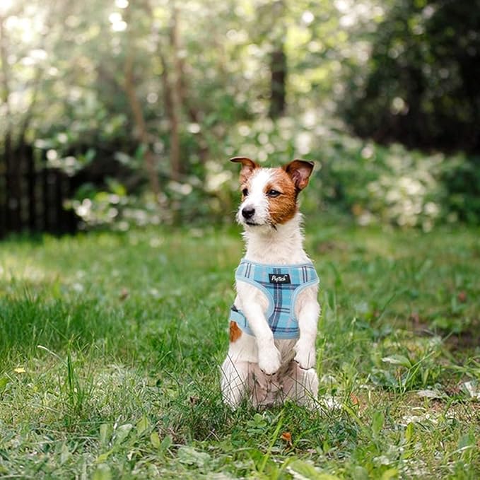 PUPTECK Soft Mesh Dog Harness and Leash Set Pet Puppy Cat Comfort Padded Vest No Pull Harnesses, Light Blue, M PUPTECK