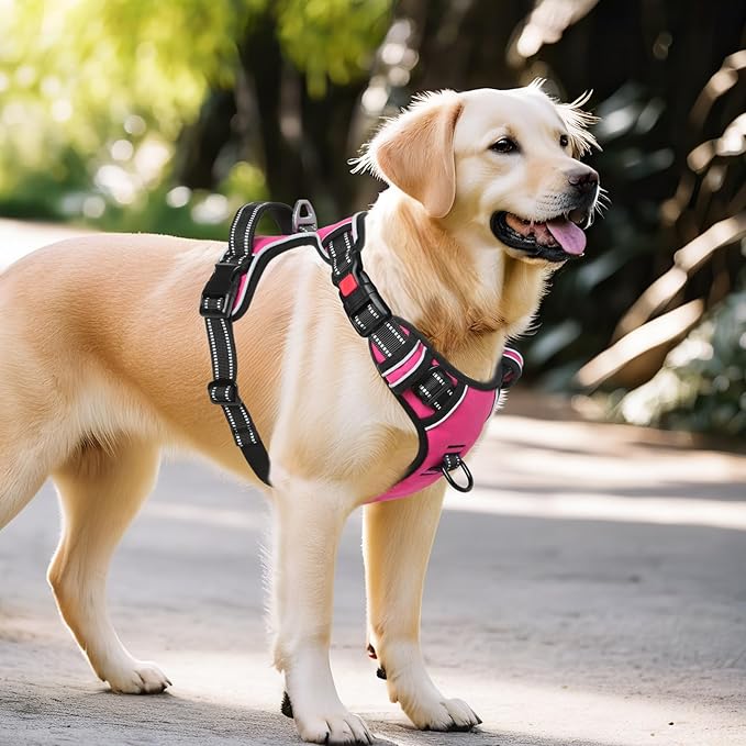 Timos Dog Harness, 3 Snap Buckles No-Pull Soft Padded Dog Vest with 2 Metal Leash Clips, Adjustable Reflective No Choke Pet Harness with Easy Control Handle for Extra Large Dogs,Rosy,L Timos