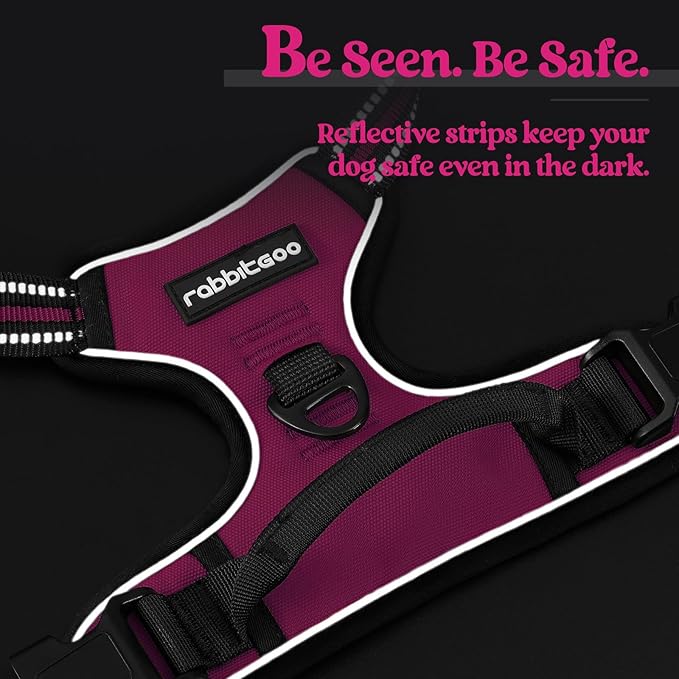 rabbitgoo Dog Harness No Pull with 2 Leash Clips, Adjustable Soft Padded, Reflective Oxford No Choke Pet Vest with Easy Control Handle for Large Dogs, Hot Pink, XL rabbitgoo