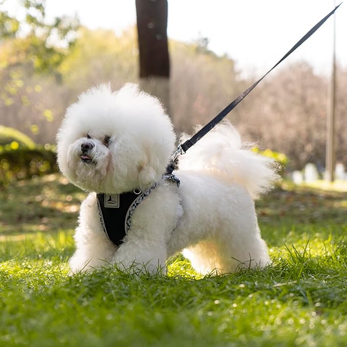 Dog Harness and Leash Set, No Pull Pet Harness for Small Dogs Easy Walking,Soft Breathable Small Dog Harness,Adjustable Reflective Step in Vest Harness for Puppy,Kitten, Cats TomteNisse