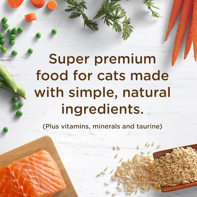 Nutrish Rachael Ray Premium Natural Dry Cat Food with Added Vitamins, Minerals & Other Nutrients, Real Salmon & Brown Rice Recipe, 6 Pound Bag - PAWPICO