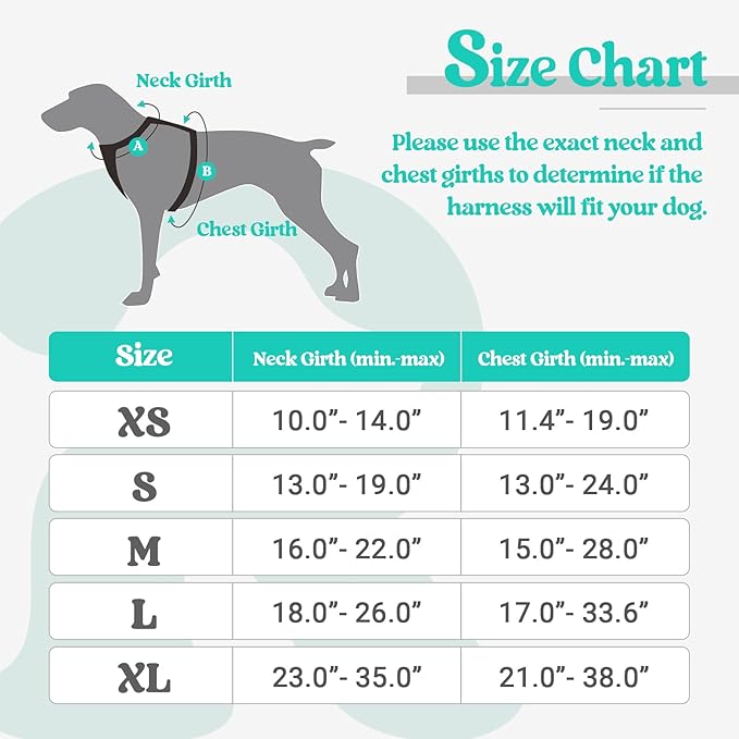 rabbitgoo Dog Harness No Pull with 2 Leash Clips, Adjustable Soft Padded, Reflective Oxford No Choke Pet Vest with Easy Control Handle for Large Dogs, Black & Turquoise, XL rabbitgoo