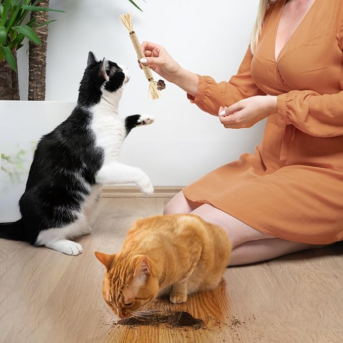 Cat Toys - 3PCS Silvervine Chew Sticks & 1PCS Silvervine Powder, Cat Dental Toys for Kitten Teeth Cleaning, 100% Natural Catnip Alternative for Chewing, Training & Playing - PAWPICO