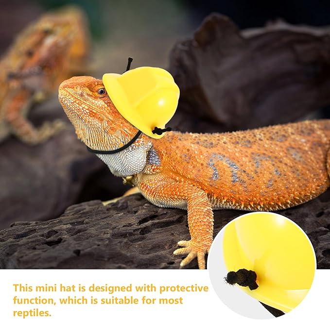2pcs Bearded Dragon Hat Mini Pet Snake Hats with Chin Strap Small Reptile Helmet Tiny Pet Hat for Ball Python Small Animal Costume Clothing DIY Doll Crafts Lollipop UKCOCO%EF%BC%9ALightupabetterhome