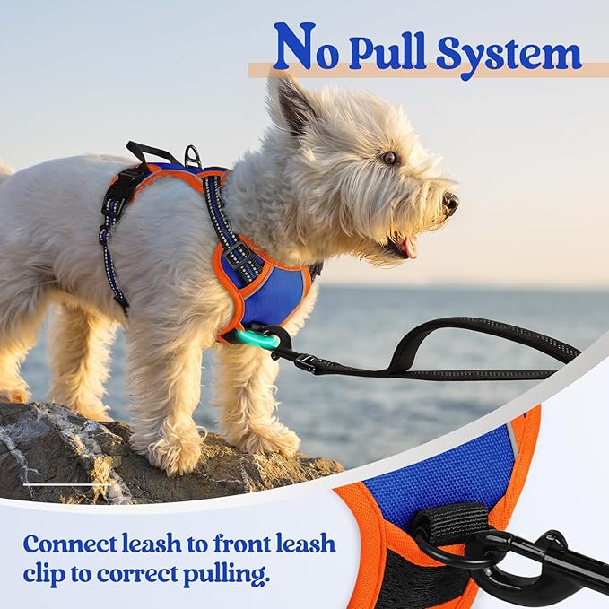rabbitgoo Dog Harness No Pull with 2 Leash Clips, Adjustable Soft Padded, Reflective Oxford No Choke Pet Vest with Easy Control Handle for Puppy, Blue & Orange, XS rabbitgoo