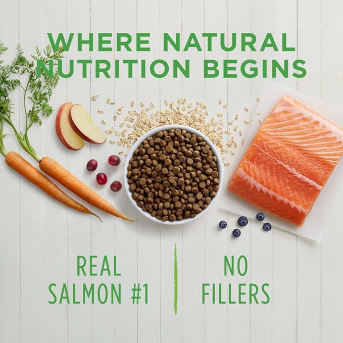 Instinct Be Natural Real Salmon & Brown Rice Recipe Natural Dry Dog Food, 24 lb. Bag - PAWPICO
