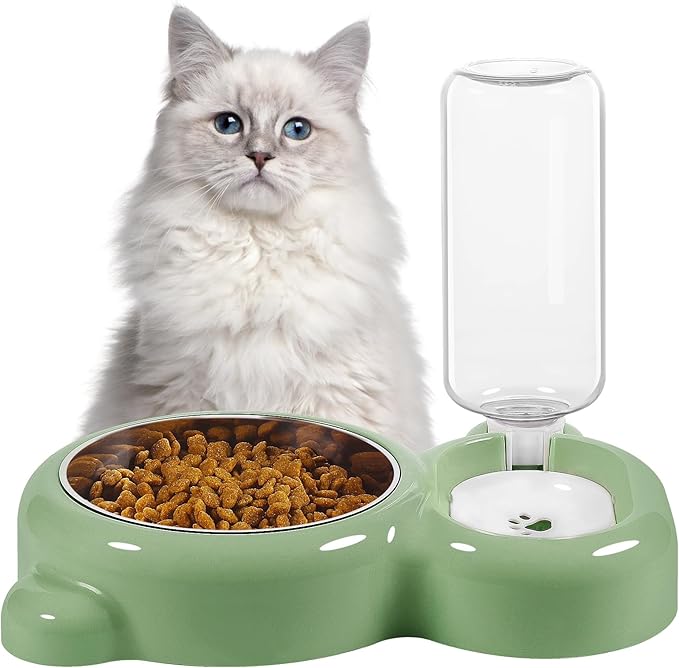 Dog Bowls, Cat Food and Water Bowl Set with Water Dispenser and Stainless Steel Bowl for Cats and Small Dogs - Green - PAWPICO