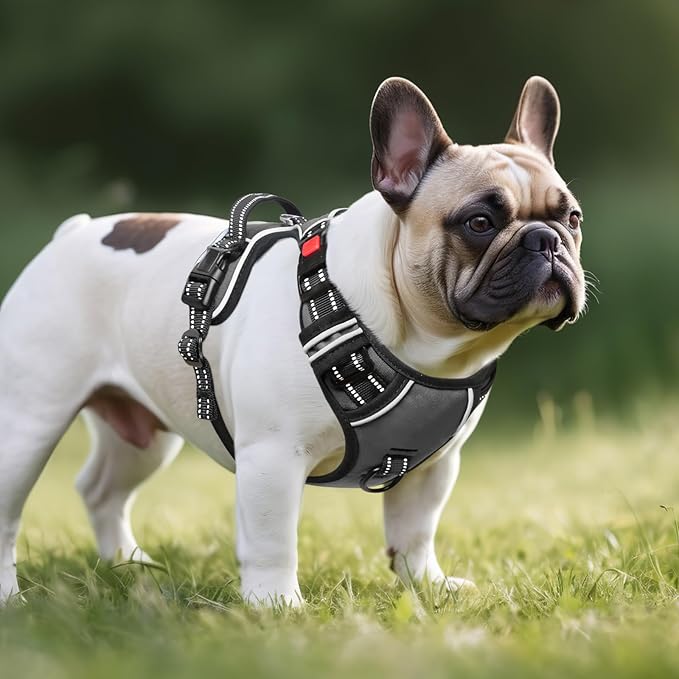 Timos Dog Harness Small Sized, No Pull Dog Harness with Neck Lockable Snap,No Choke Front Clip Dog Reflective Harness,Adjustable Metal Rings 3 Buckles,Easy Control Handle for Small Dogs Gray S Timos