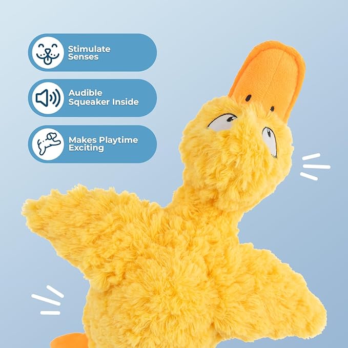 Best Pet Supplies Ducky Doodle Squeaky Crinkle Plush Toy for Small and Medium Breed Puppies or Dogs – Ducky Doodle (Gold), Small - PAWPICO