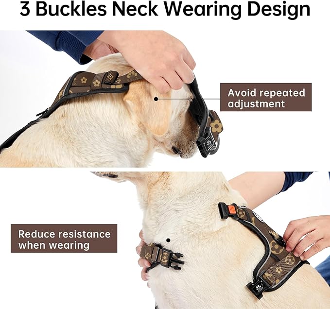 IVY&LANE No Pull Dog Harness with Leash Set, Reflective No Choke Pet Vest,Adjustable Oxford Dog Vest Harness with Easy Control Handle for Large Dogs (Dark Brown,XL) IVYLANE