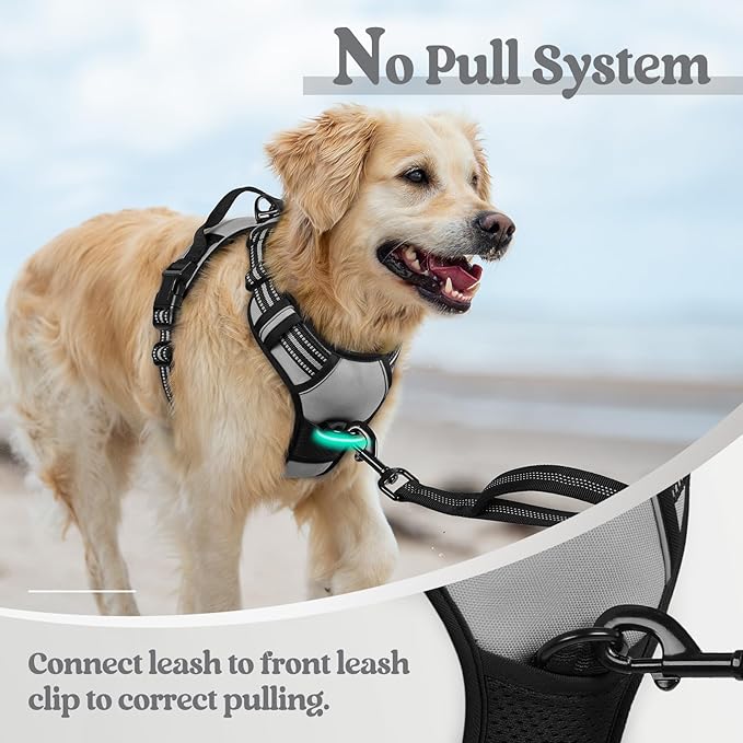rabbitgoo Dog Harness No Pull with 2 Leash Clips, Adjustable Soft Padded, Reflective Oxford No Choke Pet Vest with Easy Control Handle for Medium Sized Dogs, Grey, M rabbitgoo