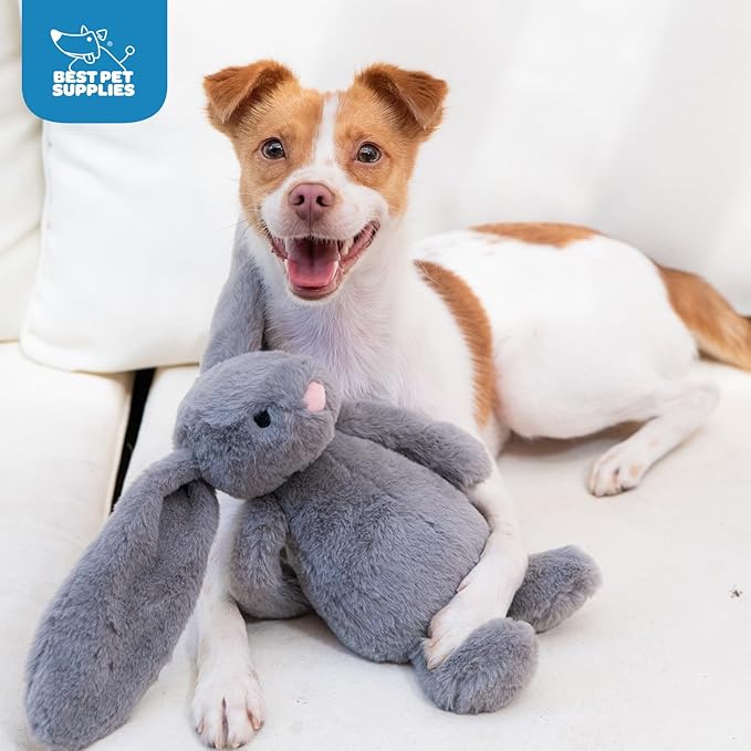 Best Pet Supplies Interactive Bunny Buddy Dog Toy with Crinkle and Squeaky Enrichment for Small and Medium Breed Puppies or Dogs, Cute and Plush - Bunny (Gray) - PAWPICO