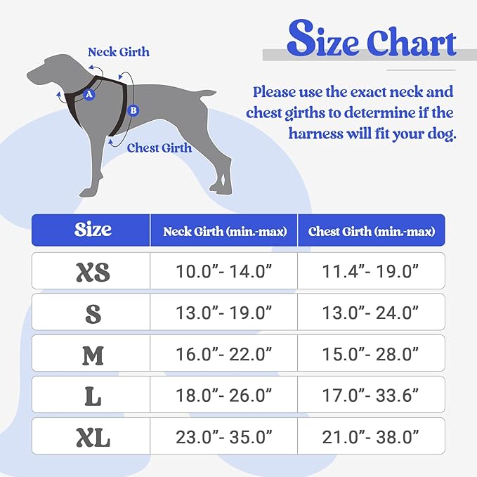 rabbitgoo Dog Harness No Pull with 2 Leash Clips, Adjustable Soft Padded, Reflective Oxford No Choke Pet Vest with Easy Control Handle for Puppy, Dazzling Blue,XS rabbitgoo