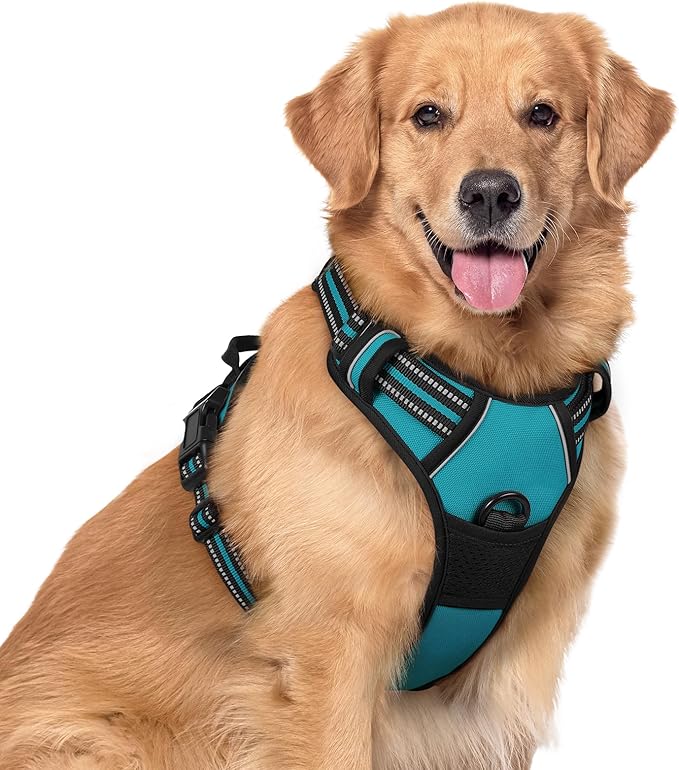 rabbitgoo Dog Harness No Pull with 2 Leash Clips, Adjustable Soft Padded, Reflective Oxford No Choke Pet Vest with Easy Control Handle for Large Dogs, Teal, XL rabbitgoo