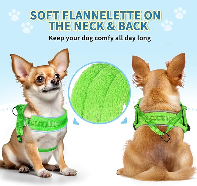 SlowTon No Pull Small Dog Harness and Leash Set, Puppy Soft Vest Harness Neck & Chest Adjustable, Reflective Lightweight Harness & Anti-Twist Pet Lead Combo for Small Medium Dogs(G,XXS) SlowTon