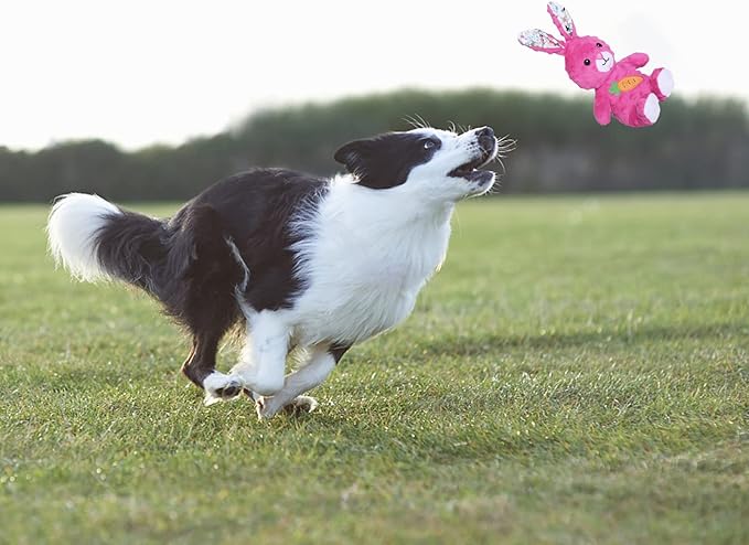 DODODOLA Dog Toys Stuffed Dog Toy with Crinkle Paper Cute Rabbit Plush Bunny Squeaky Dog Easter Toys Dog Chew Toys for Medium Large Breed - PAWPICO