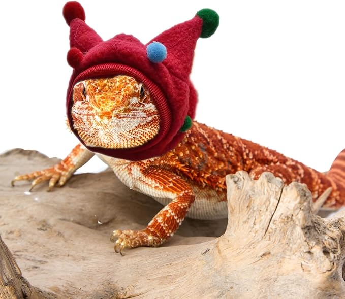 Bearded Dragon Hat - Winter Warm Lizard Cap with Horns & Pom Pom Ball Fun Halloween Outfit Bull Costume Elastic Headwear Accessories Anxiety Relief Ear Muffs for Reptile Fancy Rat Ferret (Red) SEZDEKI