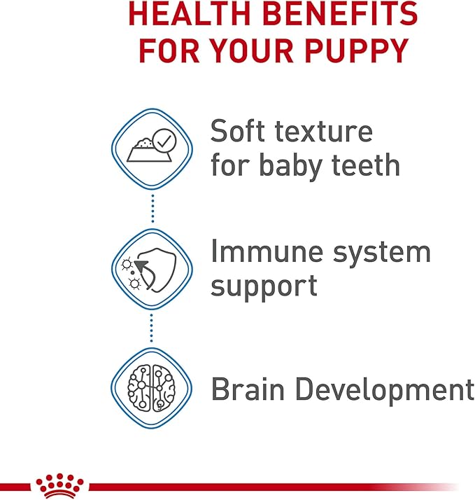 Royal Canin Size Health Nutrition Large Puppy Thin Slices in Gravy Wet Dog Food, 13 Oz Can (6-Pack) - PAWPICO